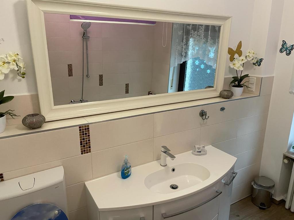 הרפורד Ferienwohnung M&M מראה חיצוני תמונה
